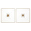 Paragon Neutral Palm S/2 Neutral 21 X 21 X 1 Wall Art