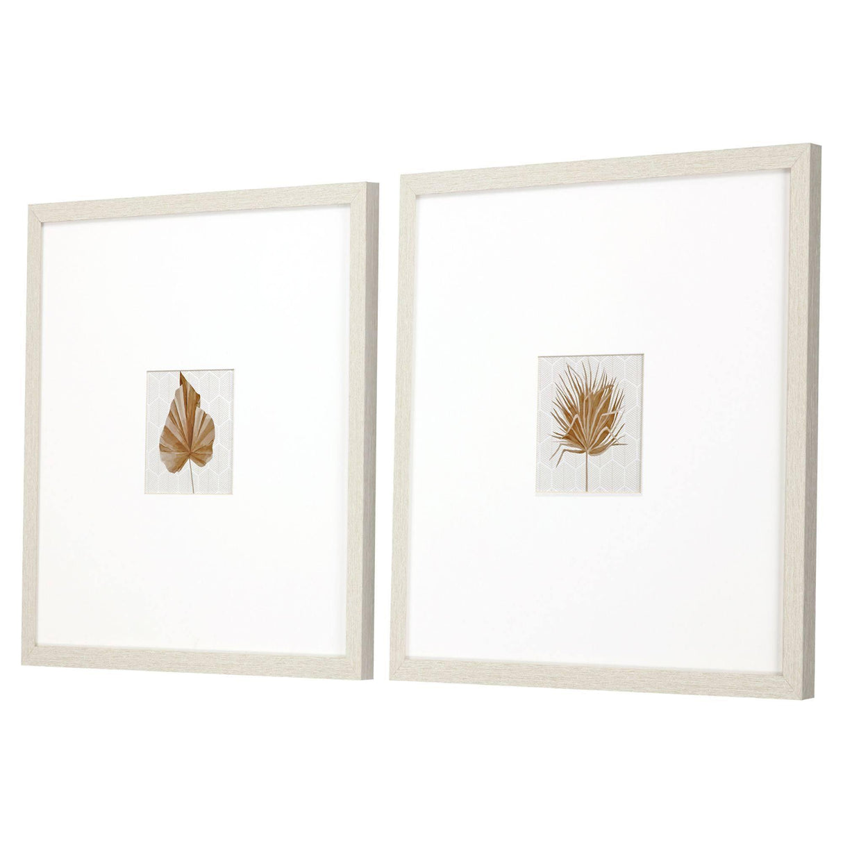 Paragon Neutral Palm S/2 Neutral 21 X 21 X 1 Wall Art