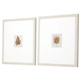 Paragon Neutral Palm S/2 Neutral 21 X 21 X 1 Wall Art
