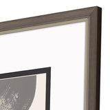 Paragon New Day S/4 Brown 23 X 20 X 1 Wall Art