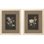 Paragon Elegant Wildflowers S/2 Gray 30 X 24 X 1 Wall Art