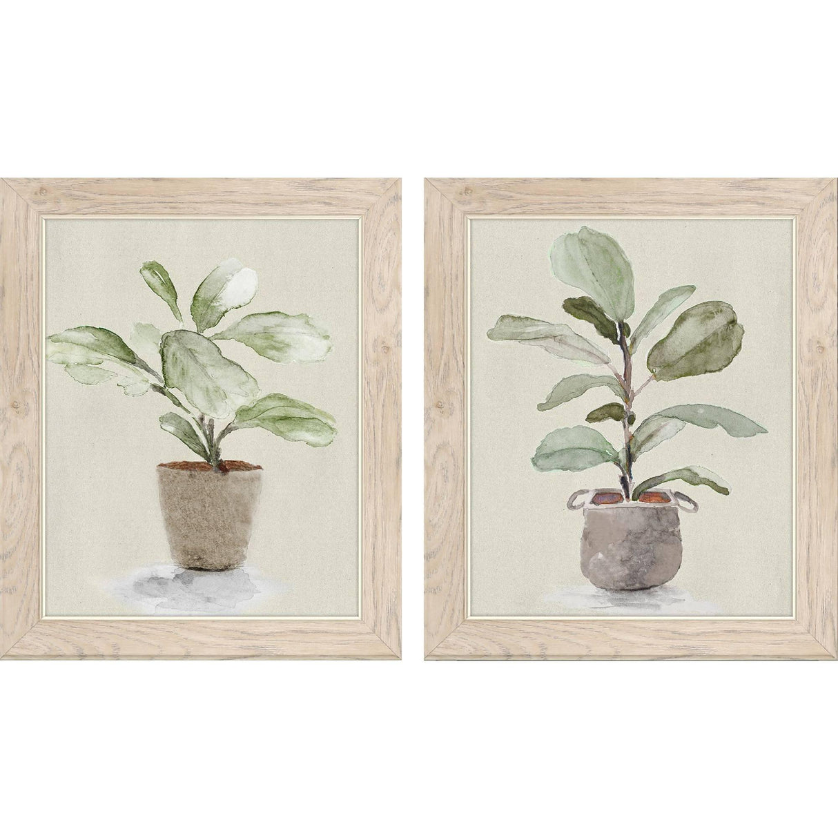 Paragon Fiddle Fig Tree S/2 Green 17 X 14 X 1 Wall Art