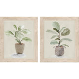 Paragon Fiddle Fig Tree S/2 Green 17 X 14 X 1 Wall Art