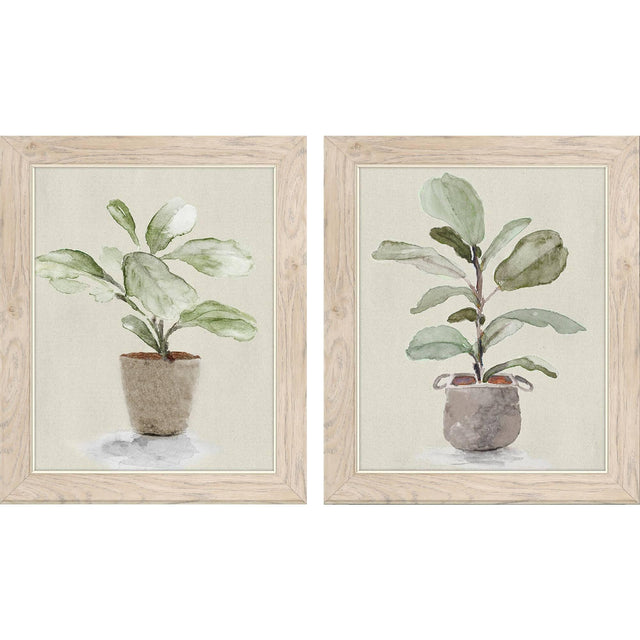 Paragon Fiddle Fig Tree S/2 Green 17 X 14 X 1 Wall Art