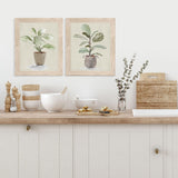 Paragon Fiddle Fig Tree S/2 Green 17 X 14 X 1 Wall Art