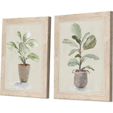 Paragon Fiddle Fig Tree S/2 Green 17 X 14 X 1 Wall Art