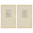Paragon Sweet Chickadee S/2 Green 20 X 13 X 1 Wall Art