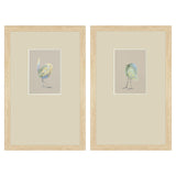 Paragon Sweet Chickadee S/2 Green 20 X 13 X 1 Wall Art