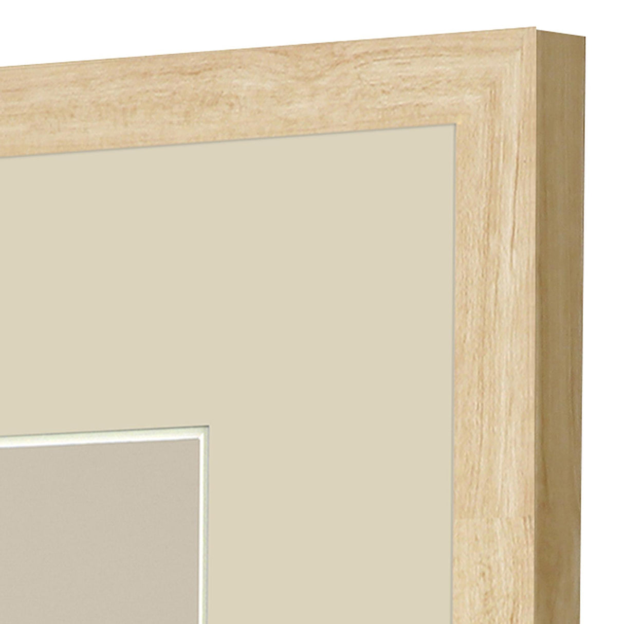 Paragon Sweet Chickadee S/2 Green 20 X 13 X 1 Wall Art