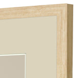 Paragon Sweet Chickadee S/2 Green 20 X 13 X 1 Wall Art