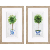 Paragon Rosemary Thyme S/2 Green 31 X 19 X 1 Wall Art