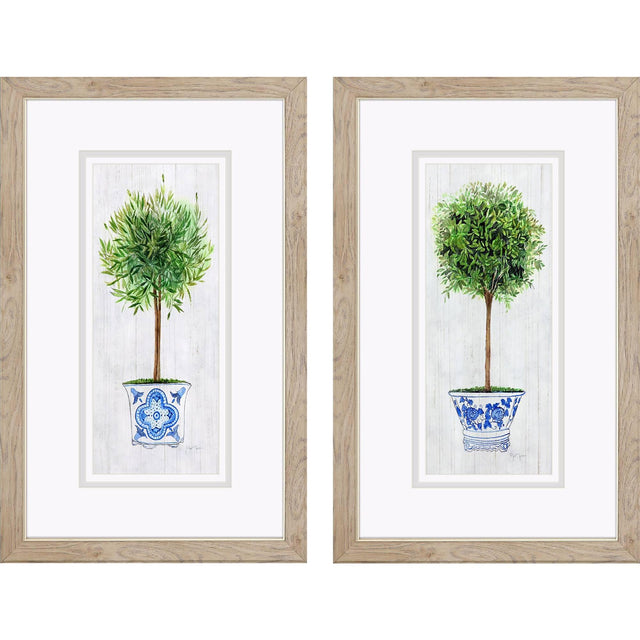 Paragon Rosemary Thyme S/2 Green 31 X 19 X 1 Wall Art