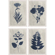 Paragon Pressed Flower I S/4 Blue 19 X 13 X 1 Wall Art