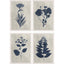 Paragon Pressed Flower I S/4 Blue 19 X 13 X 1 Wall Art