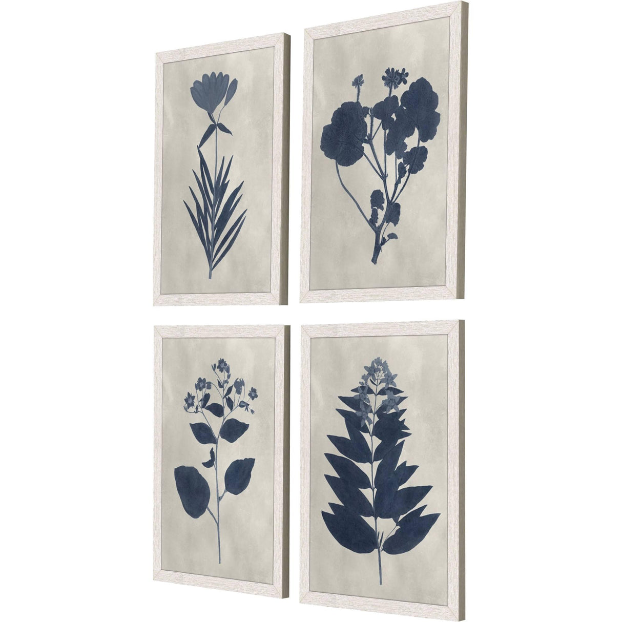Paragon Pressed Flower I S/4 Blue 19 X 13 X 1 Wall Art