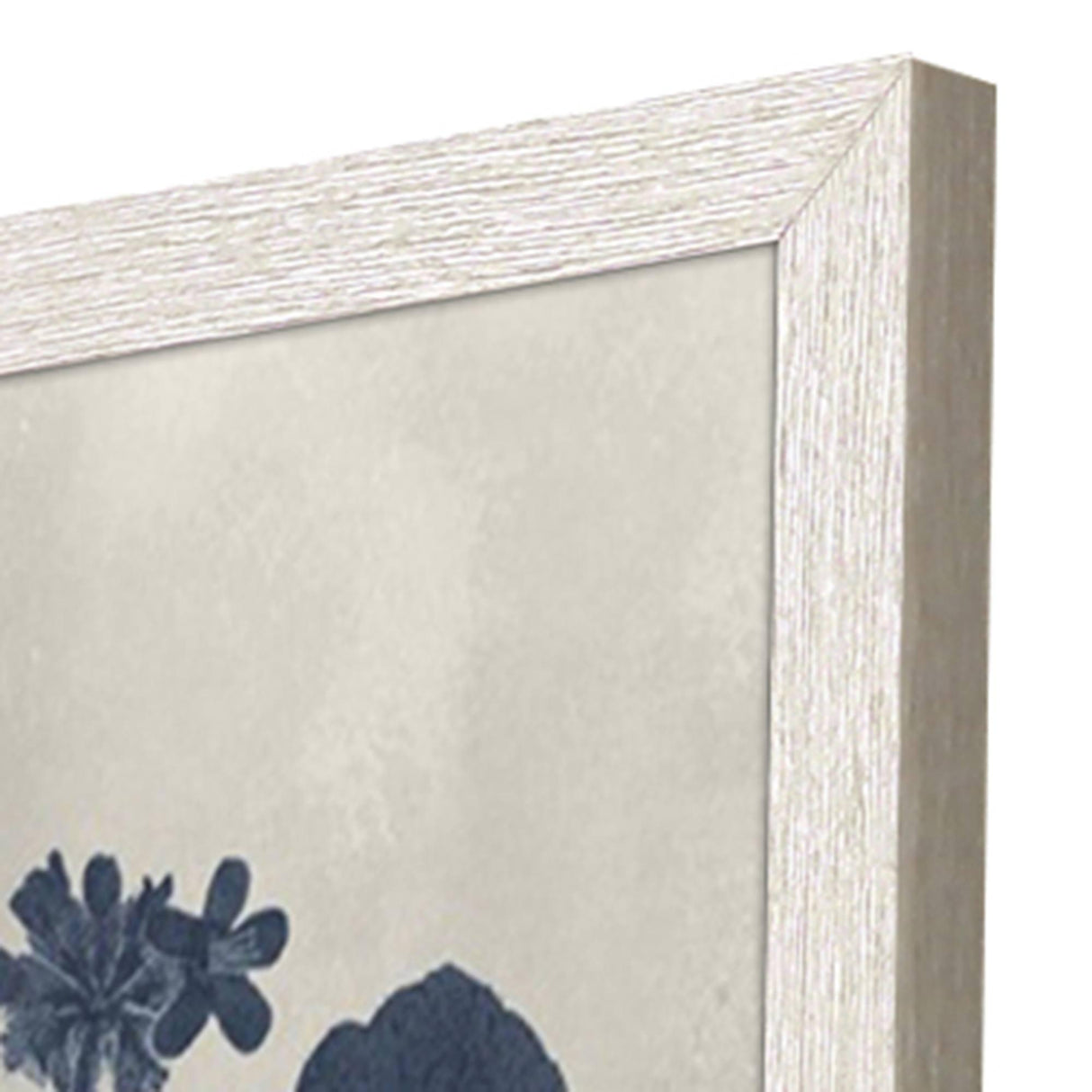 Paragon Pressed Flower I S/4 Blue 19 X 13 X 1 Wall Art