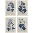 Paragon Pressed Flower II S/4 Blue 19 X 13 X 1 Wall Art