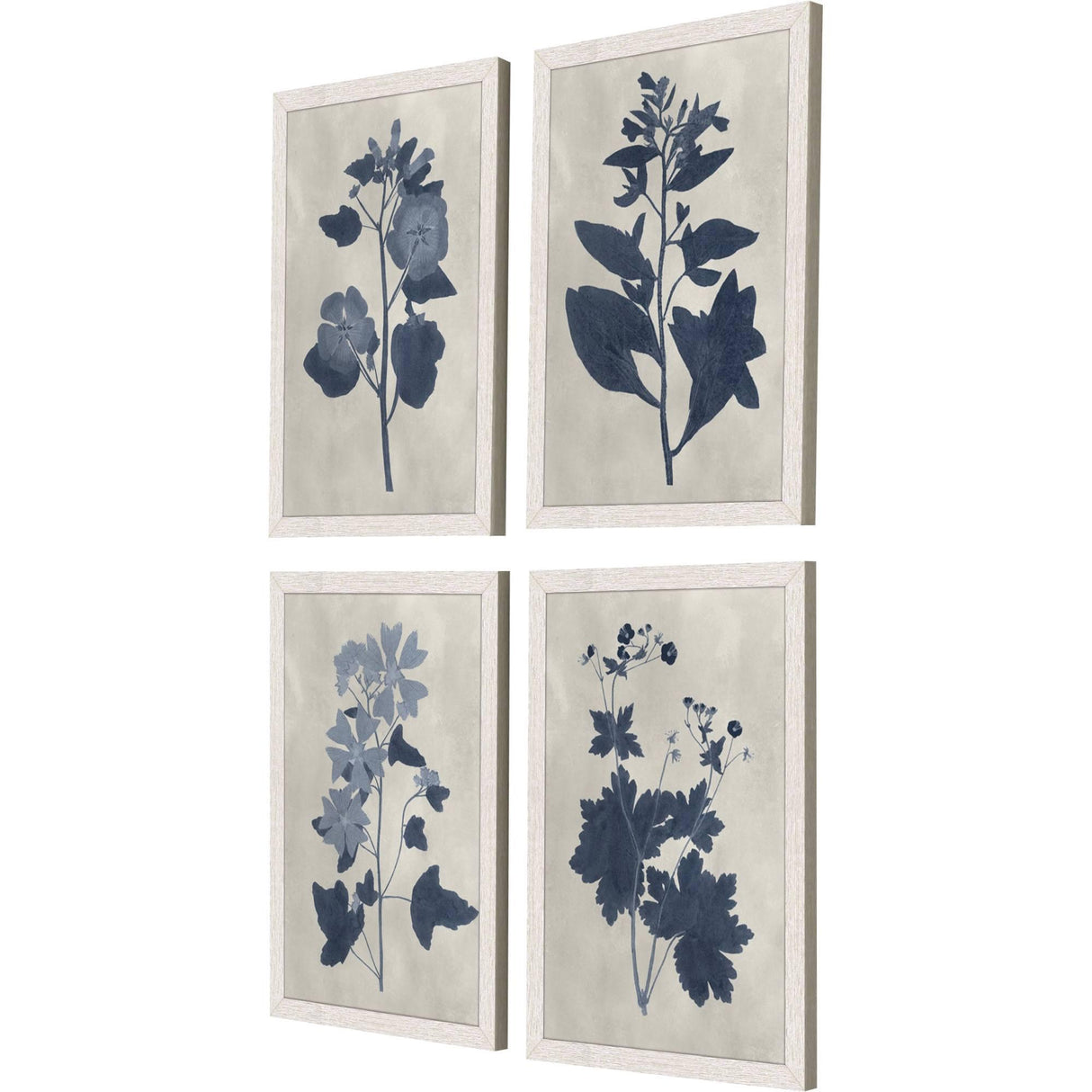 Paragon Pressed Flower II S/4 Blue 19 X 13 X 1 Wall Art