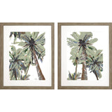 Paragon La Palma S/2 Green 33 X 27 X 2 Wall Art
