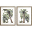 Paragon La Palma S/2 Green 33 X 27 X 2 Wall Art
