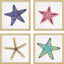 Paragon Coastal Starfish S/4 Multi 18 X 18 X 1 Wall Art