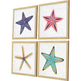 Paragon Coastal Starfish S/4 Multi 18 X 18 X 1 Wall Art