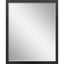 Paragon #550 22 x 28 Beveled Black 30 X 24 X 1 Wall Mirror