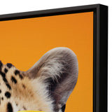Paragon Fierce Fashionista Orange 35 X 25 X 2 Wall Art