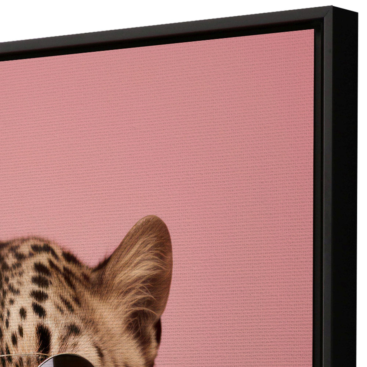 Paragon Style Cat Pink 35 X 25 X 2 Wall Art