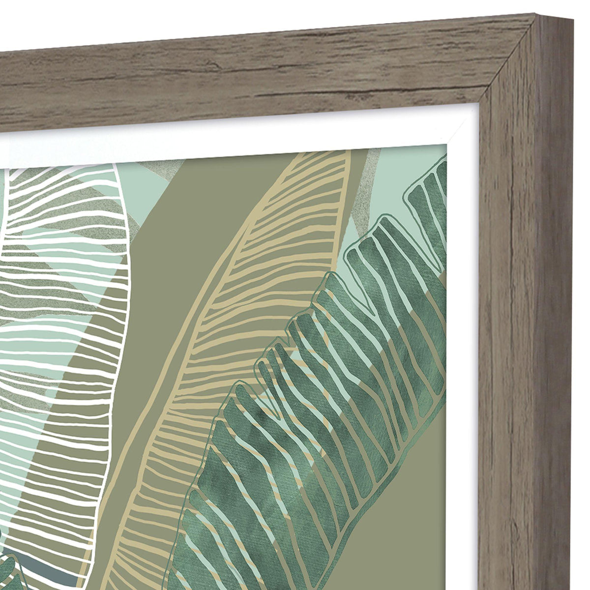 Paragon Tropical Botanical II Green 28 X 22 X 2 Wall Art