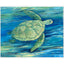 Paragon Lagoon Turtle III Green 25 X 31 X 3 Wall Art