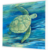 Paragon Lagoon Turtle III Green 25 X 31 X 3 Wall Art