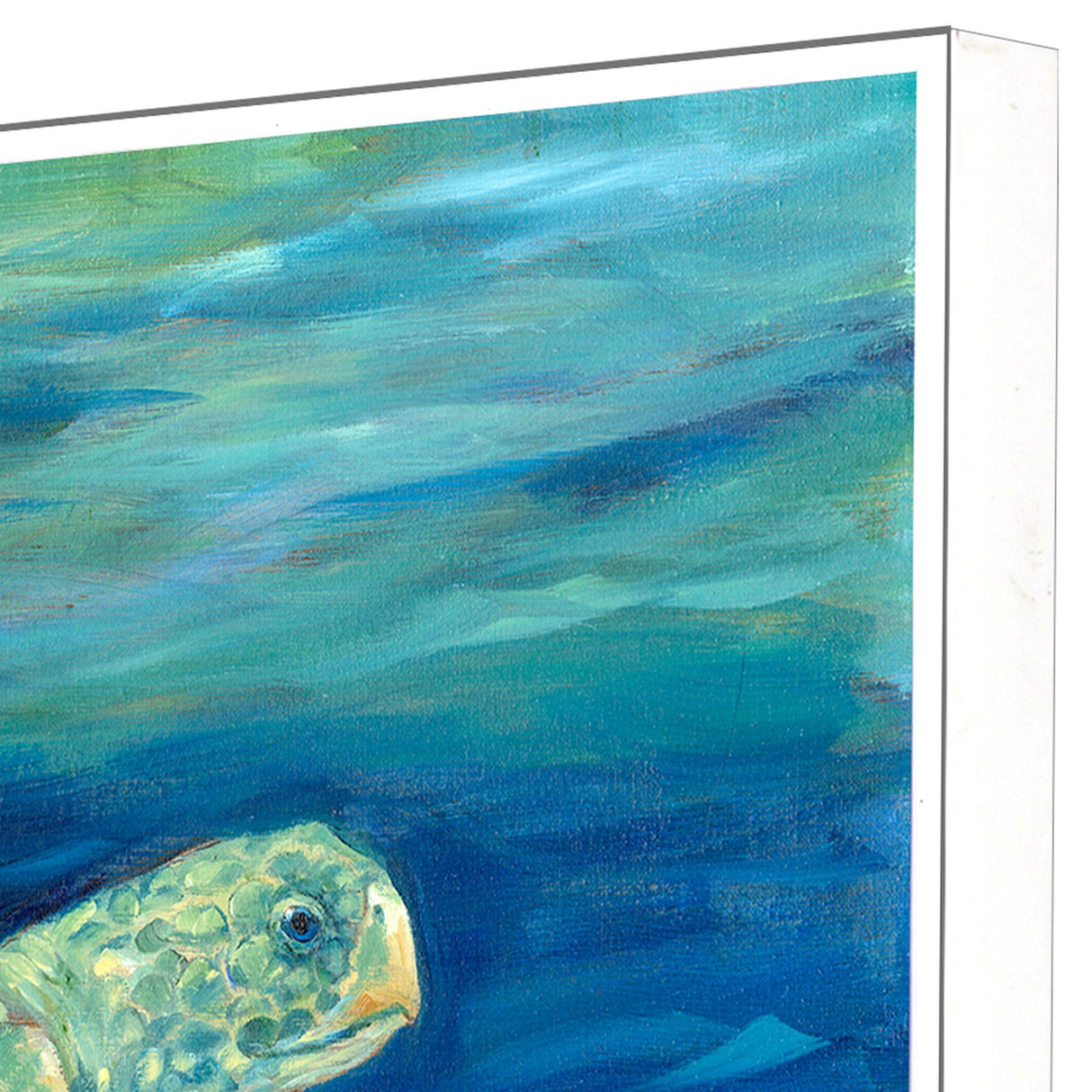 Paragon Lagoon Turtle III Green 25 X 31 X 3 Wall Art