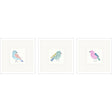 Paragon Conversation Birds I S/3 Multi 17 X 17 X 2 Wall Art