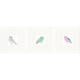 Paragon Conversation Birds I S/3 Multi 17 X 17 X 2 Wall Art