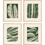 Paragon Tropical Flourish S/4 Green 24 X 20 X 1 Wall Art