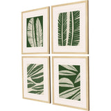 Paragon Tropical Flourish S/4 Green 24 X 20 X 1 Wall Art