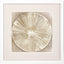 Paragon Emboss Beauty I Beige 30 X 30 X 2 Wall Art
