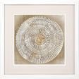 Paragon Emboss Beauty II Beige 30 X 30 X 2 Wall Art