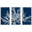 Paragon Coastal Coral S/3 Blue 25 X 13 X 2 Wall Art