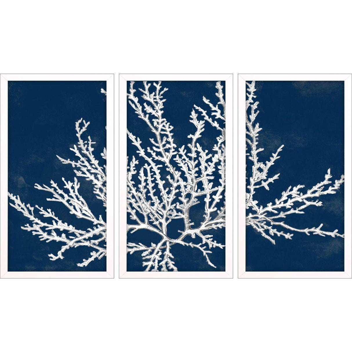 Paragon Coastal Coral S/3 Blue 25 X 13 X 2 Wall Art
