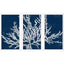 Paragon Coastal Coral S/3 Blue 25 X 13 X 2 Wall Art