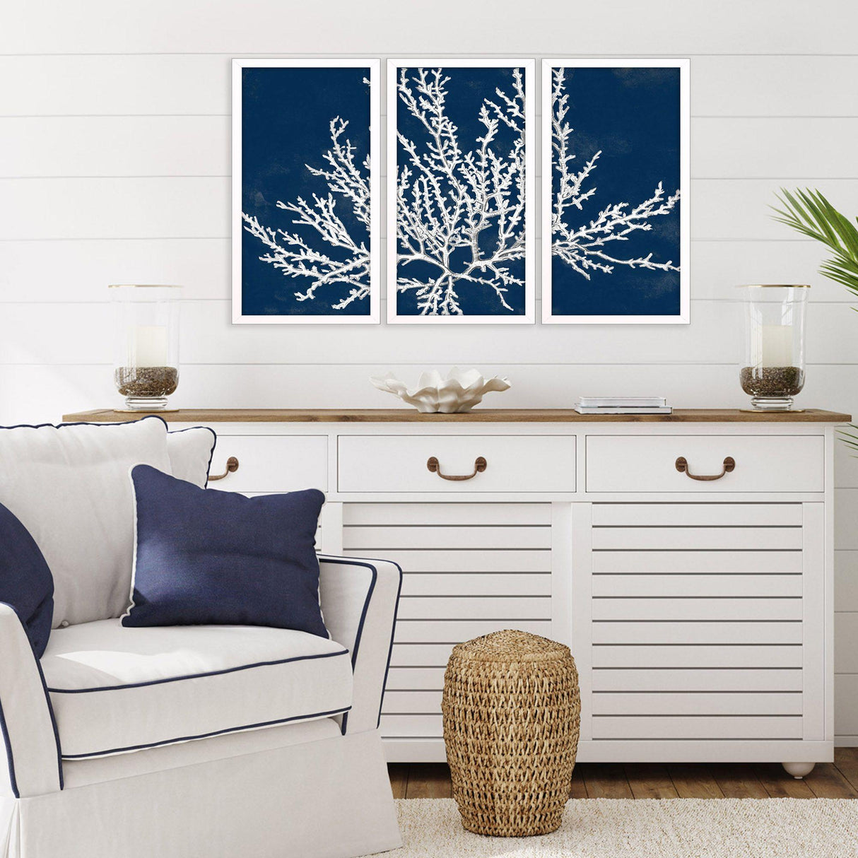 Paragon Coastal Coral S/3 Blue 25 X 13 X 2 Wall Art