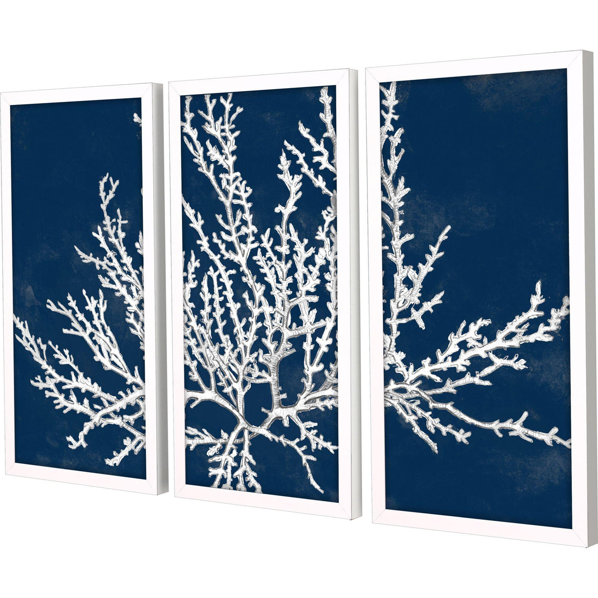 Paragon Coastal Coral S/3 Blue 25 X 13 X 2 Wall Art
