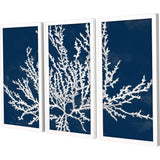 Paragon Coastal Coral S/3 Blue 25 X 13 X 2 Wall Art
