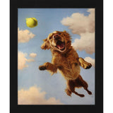Paragon Fetch Red 11 X 09 X 2 Wall Art