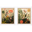 Paragon Botanical Embrace S/2 Green 24 X 20 X 2 Wall Art