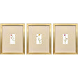 Paragon Pretty Florals I S/3 Multi 17 X 14 X 2 Wall Art