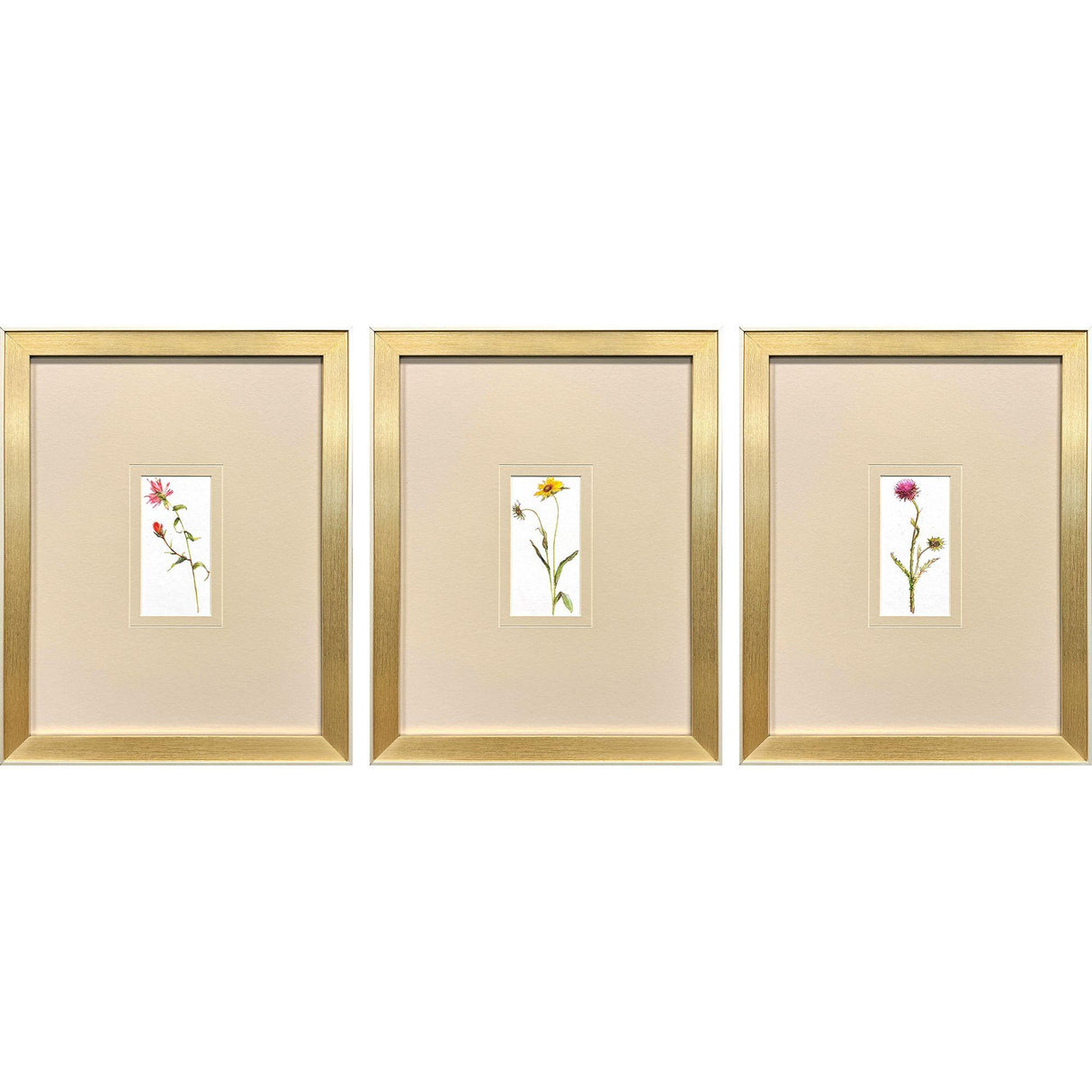 Paragon Pretty Florals I S/3 Multi 17 X 14 X 2 Wall Art