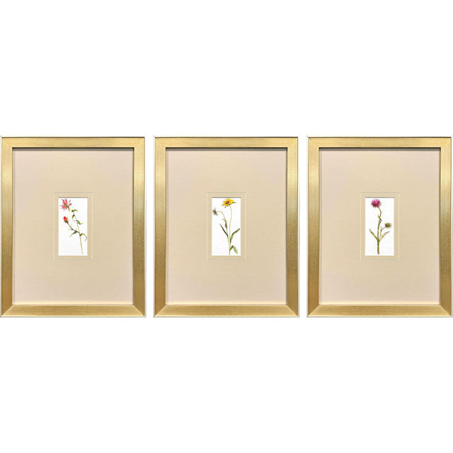 Paragon Pretty Florals I S/3 Multi 17 X 14 X 2 Wall Art